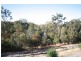 19 Gilgandra Cl, Reedy Creek QLD 4227
