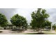 35 Codrington Cct, Pacific Pines QLD 4211