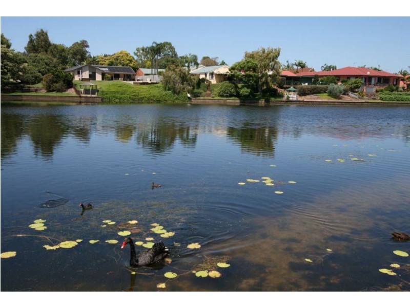 6 Narrabeen Court, Robina QLD 4226