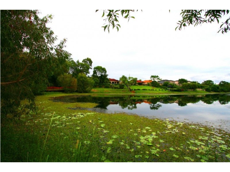 21 Cedarwood Crescent, Robina QLD 4226