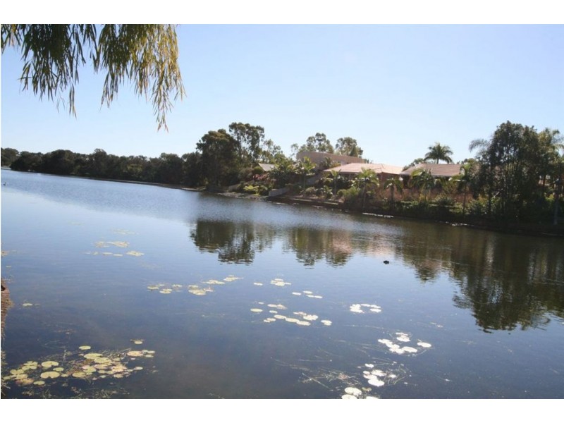 94 Manly Drive, Robina QLD 4226