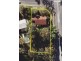 45 Alison Road, Carrara QLD 4211