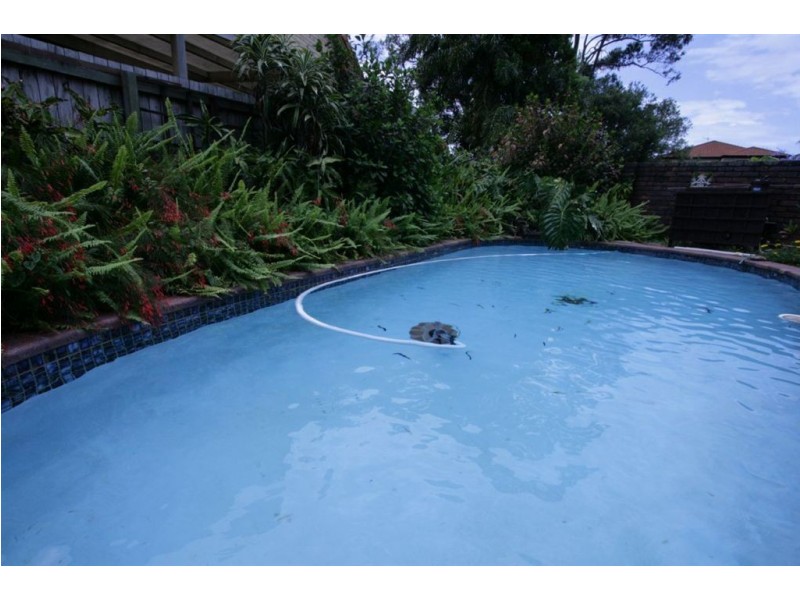 11 Homebush Dr, Robina QLD 4226