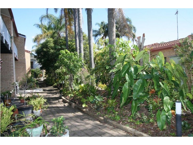 8/7 Angie Crt, Mermaid Waters QLD 4218