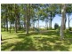 24 Sequoia Street, Thornlands QLD 4164