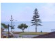10 Cedar Street, Wynnum QLD 4178
