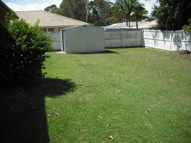 24 Tulipwood Drive, Birkdale QLD 4159