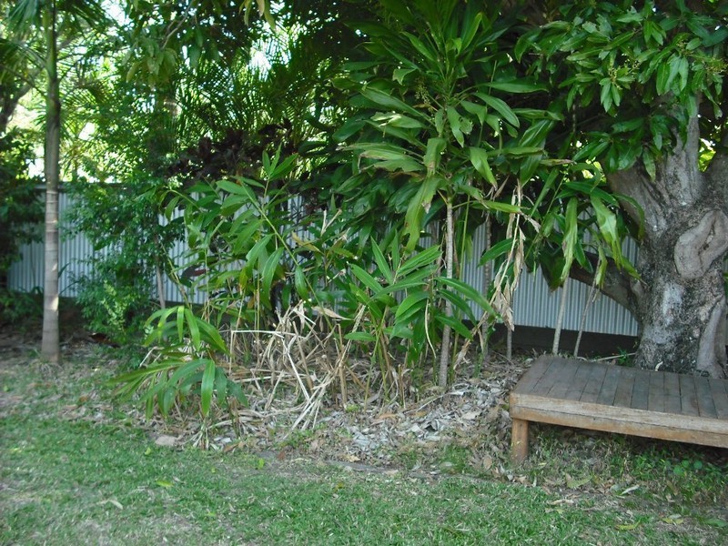30 Madgwick Street, Wynnum QLD 4178
