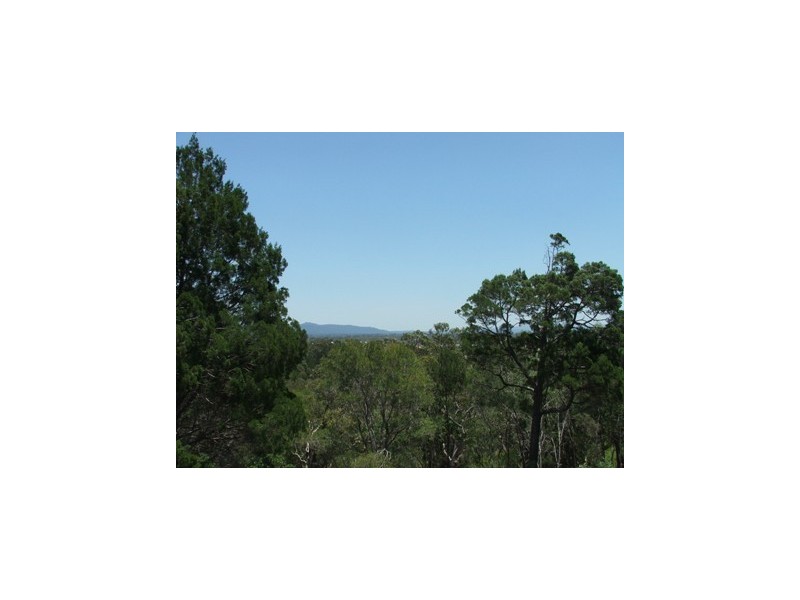 1 Banksia Avenue, Noosa Heads QLD 4567