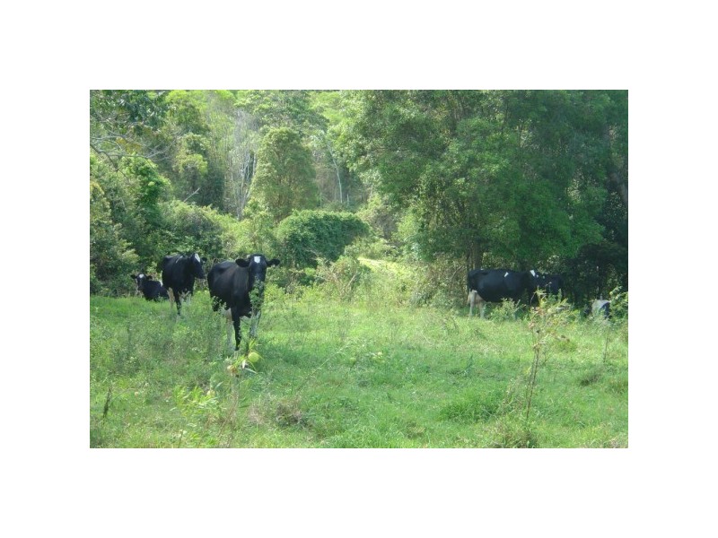 122 Andersons Road, Ridgewood QLD 4563