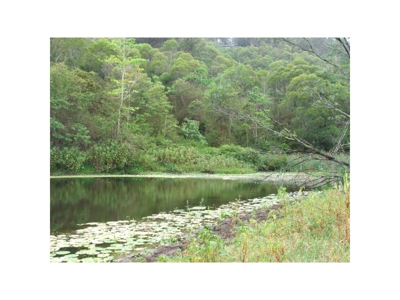 122 Andersons Road, Ridgewood QLD 4563