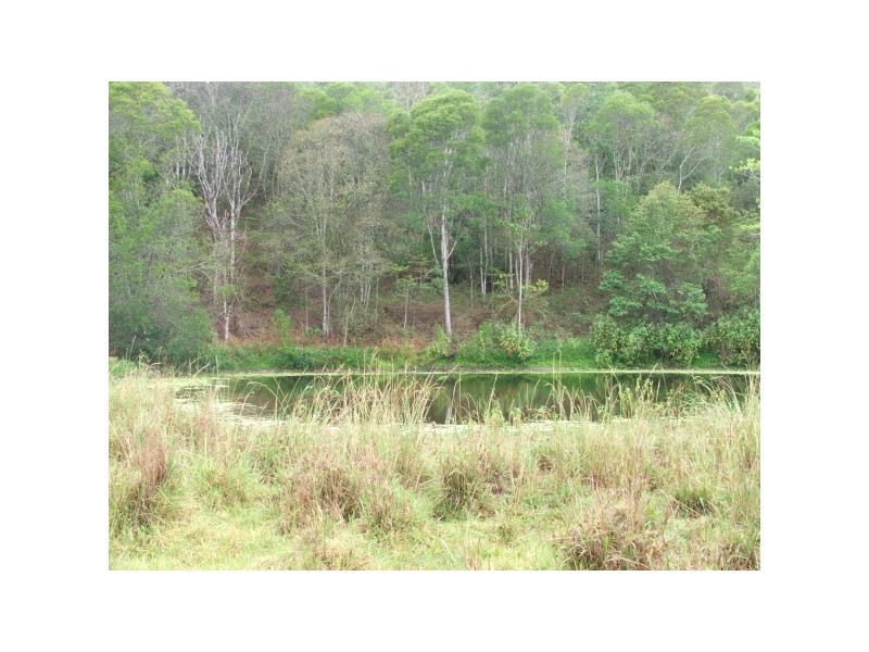 122 Andersons Road, Ridgewood QLD 4563