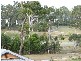 13 Ironhurst Place, Peregian Springs QLD 4573