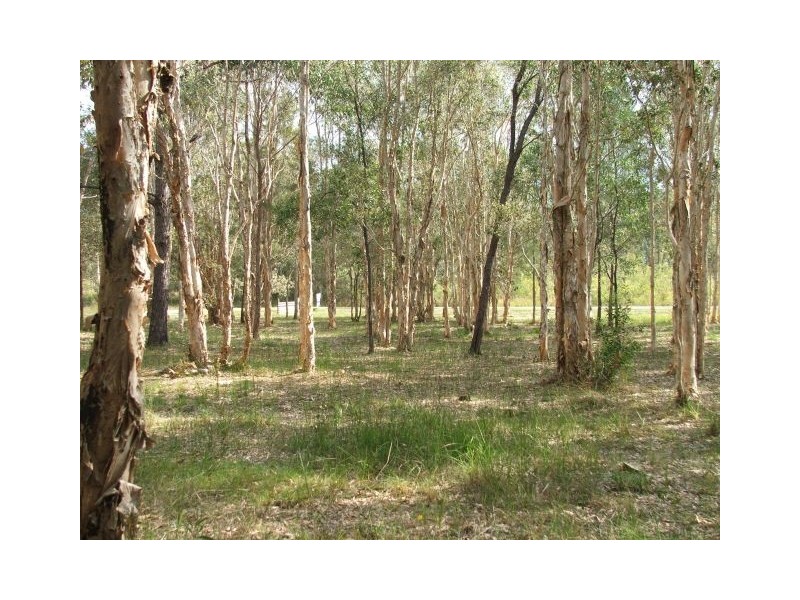 164 Carriage Way, Cooroibah QLD 4565