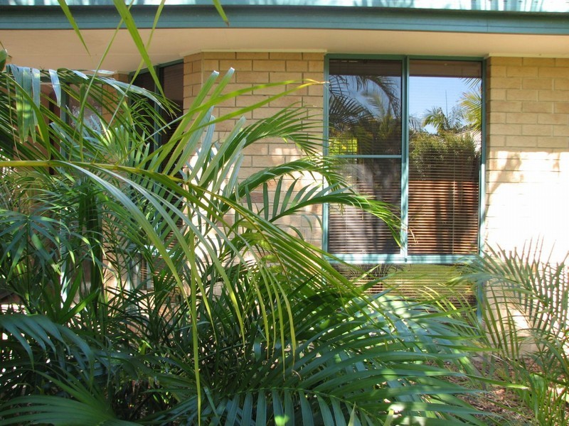 7 Olds Court, Tewantin QLD 4565