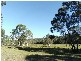 Cooroibah QLD 4565
