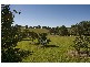 Cooroy QLD 4563