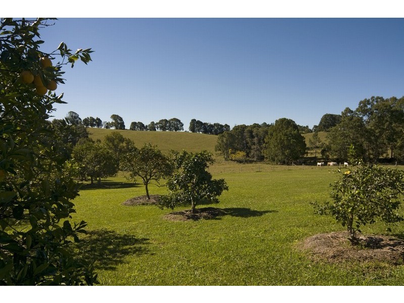Cooroy QLD 4563