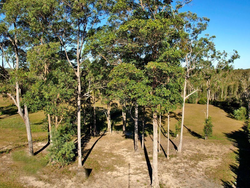 45 Cooroibah Crescent, Tewantin QLD 4565
