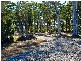 83 Edington Drive, Cooroibah QLD 4565