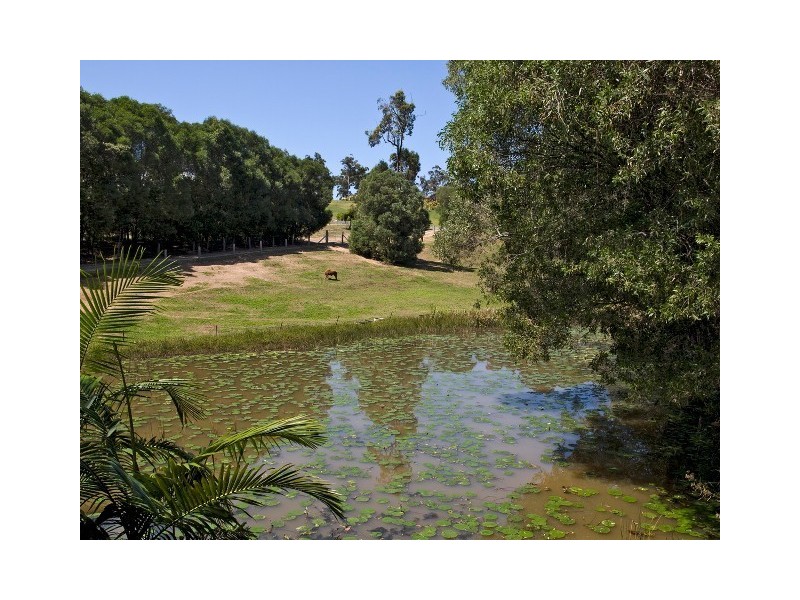 14 Squatter Court, Pomona QLD 4568