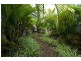13 Nugan Court, Tewantin QLD 4565