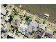 2 Garden Grove, Carrara QLD 4211