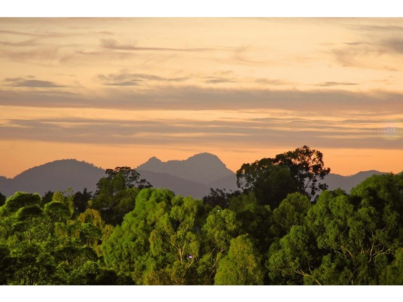 23 Pinkwood Drive, Ashmore QLD 4214