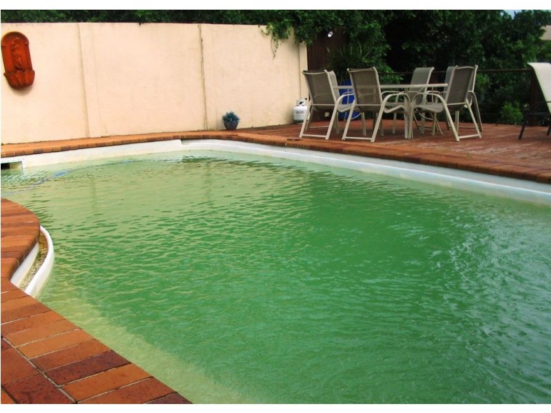 172 Monaco Street, Broadbeach Waters QLD 4218