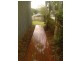 33 Koola Drive,, Nerang QLD 4211