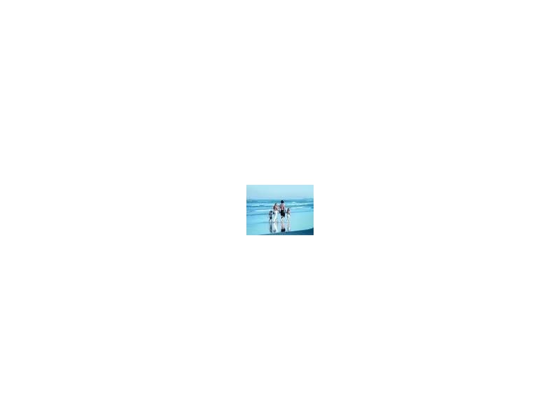 1404/4 ‘The Oracle’ Charles Avenue, Broadbeach QLD 4218