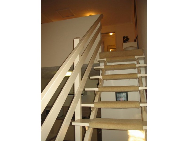 56/172 Barrier Reef Drive, Mermaid Waters QLD 4218