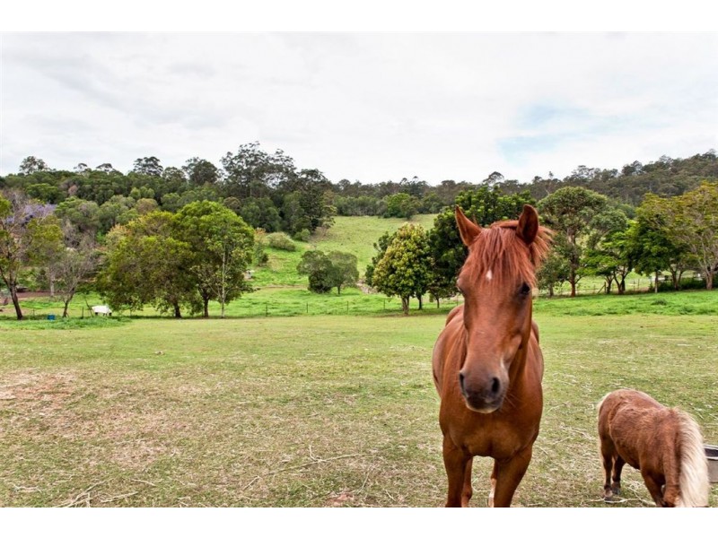 3 Manuka Road, Mudgeeraba QLD 4213