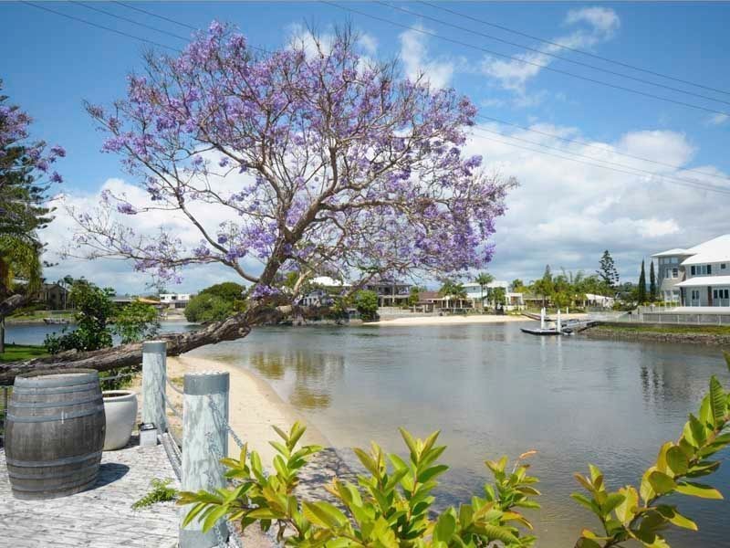 41 Allambi Avenue, Broadbeach Waters QLD 4218