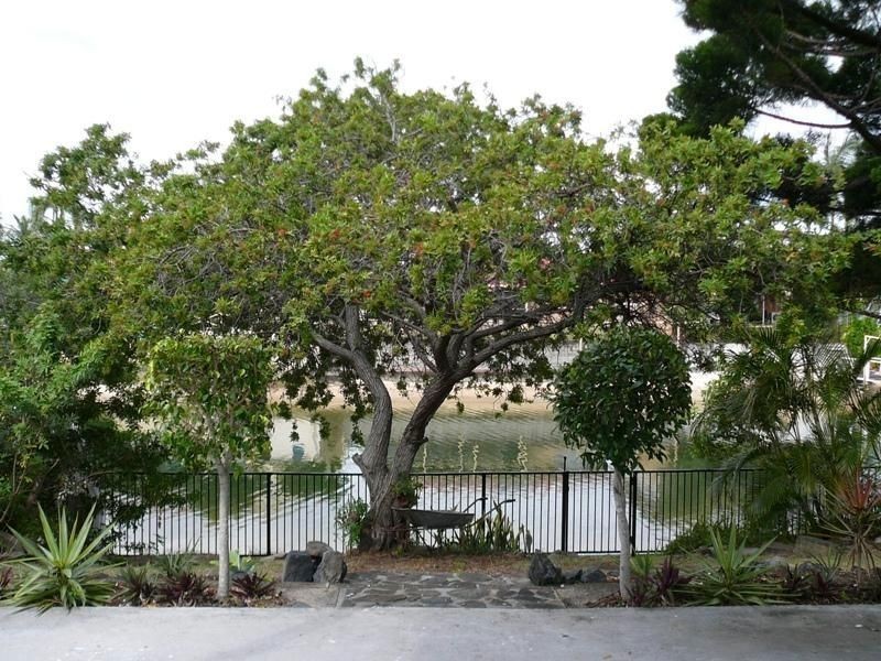 152 Monaco St, Broadbeach Waters QLD 4218