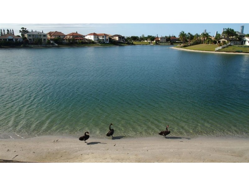 82 Cypress Drive, Broadbeach Waters QLD 4218