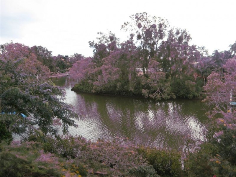 12 Carrara Road, Carrara QLD 4211