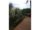 7 Wayfarer Avenue, Mermaid Waters QLD 4218