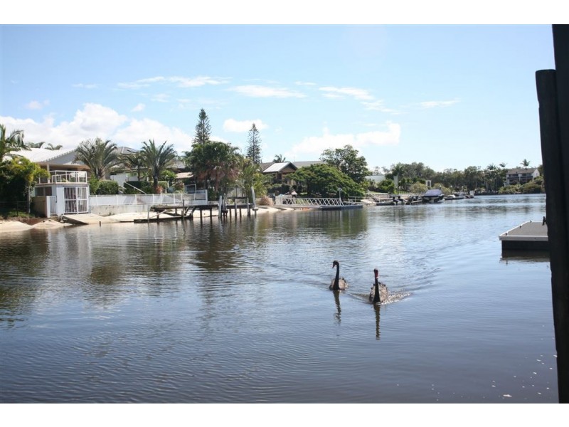 10 Cedar Place, Broadbeach Waters QLD 4218