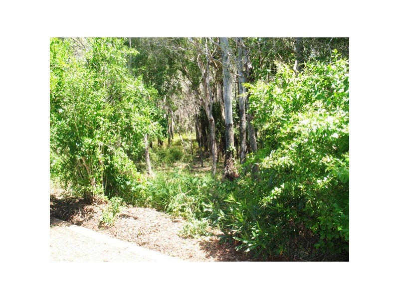 Moore Park Beach QLD 4670