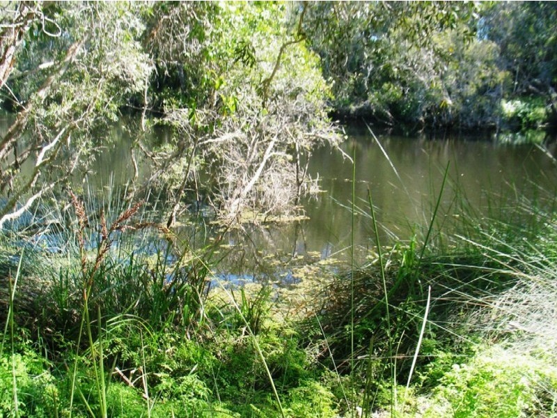 241 Coonarr Road, Bundaberg QLD 4670