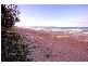 130 Davenport Drive, Coonarr QLD 4670