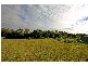 130 Davenport Drive, Coonarr QLD 4670