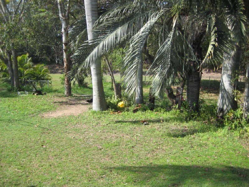 Bundaberg South QLD 4670