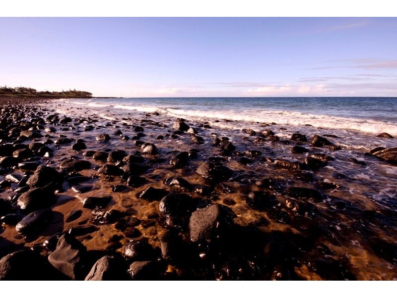 39 Grevillea Avenue, Innes Park QLD 4670