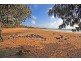 47 Garson Drive, Bargara QLD 4670