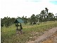 29608 Bruce Highway, Apple Tree Creek QLD 4660