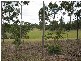 29608 Bruce Highway, Apple Tree Creek QLD 4660