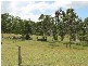 29608 Bruce Highway, Apple Tree Creek QLD 4660