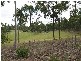 29608 Bruce Highway, Apple Tree Creek QLD 4660